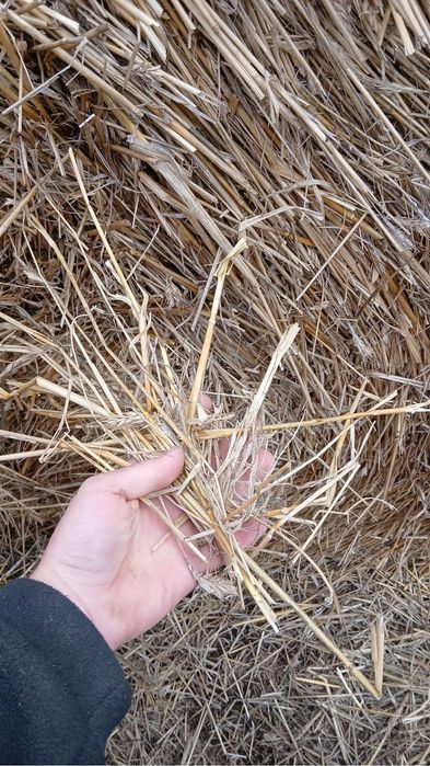 Baloți de paie de grâu