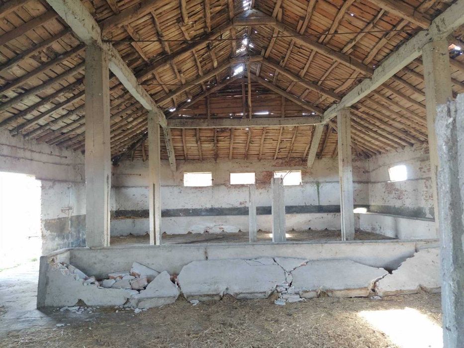 Продава се Парцел в с. Цалапица, Област Пловдив - 2300 кв.м за 22 €/кв.м - Снимка #3