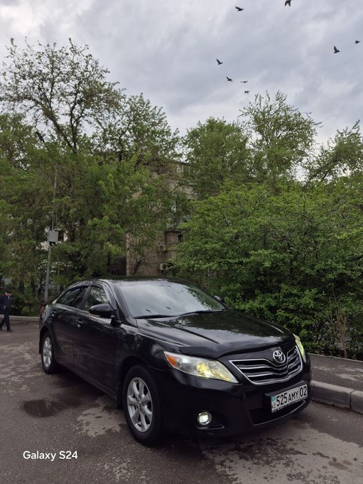 Аренда/прокат автомобилей