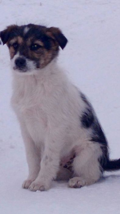 Мы хотим стать частью Вашей семьи)