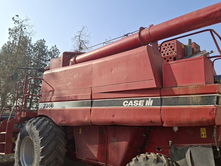 Канбайин сотилад йили 2003