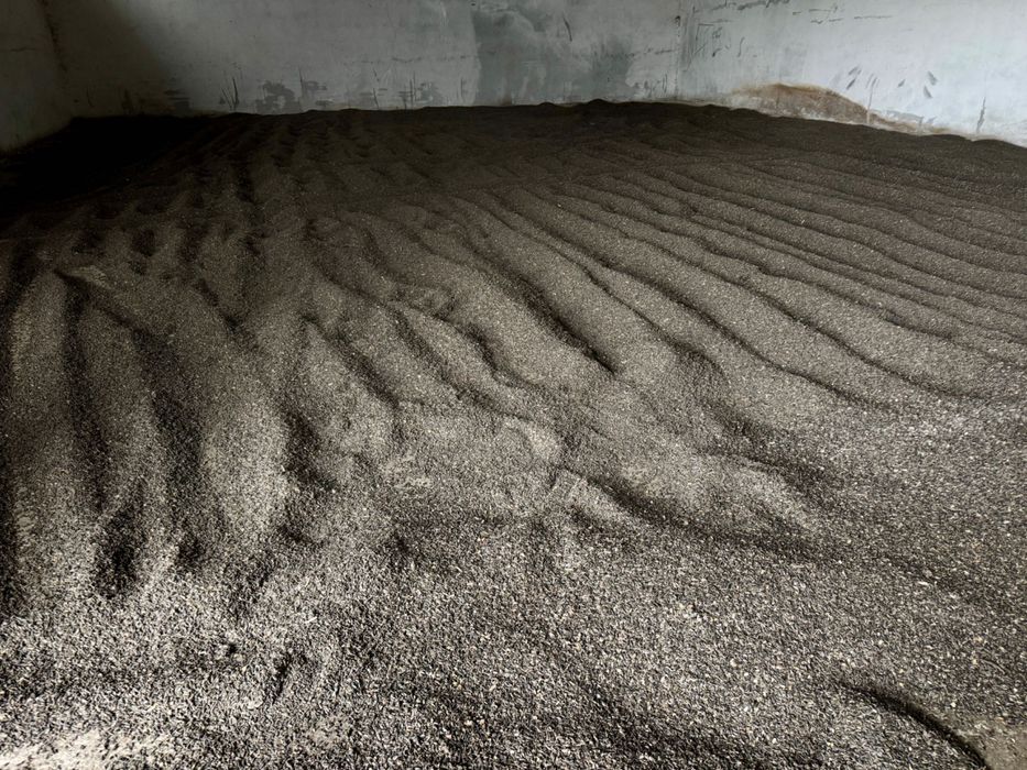 Vând Floarea-Soarelui, Cantitate 4-5 Tone - Jurilovca