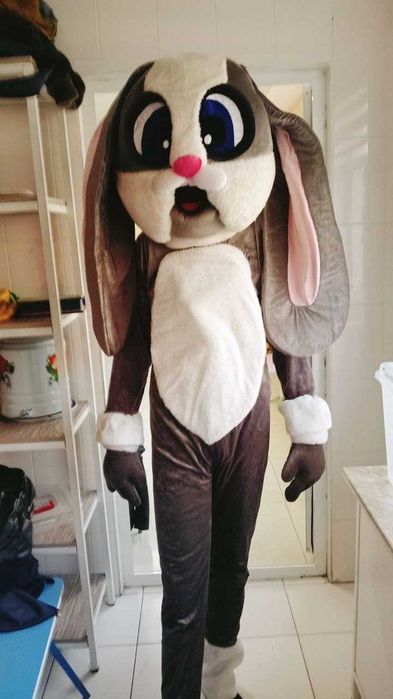 Аренда костюмов, организации и проведения праздников.