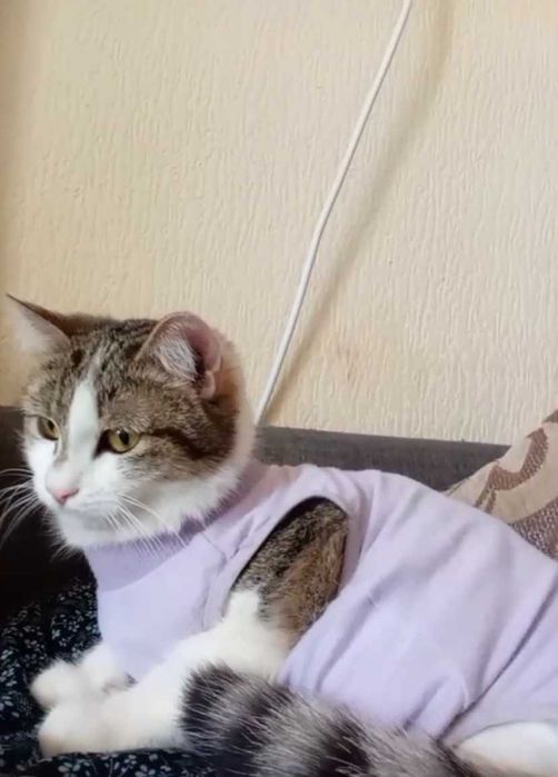 Нежная малышка ищет дом