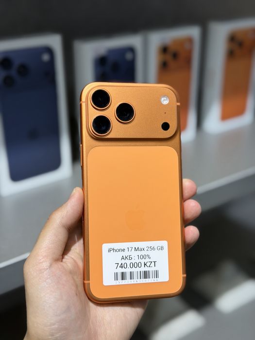 iPhone 17 Pro Max / 256 / 100%