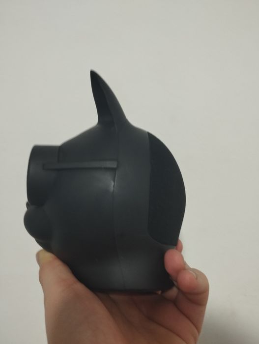 Boxa pisica șmechera