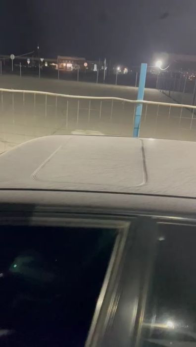 Варианты обмена на скот