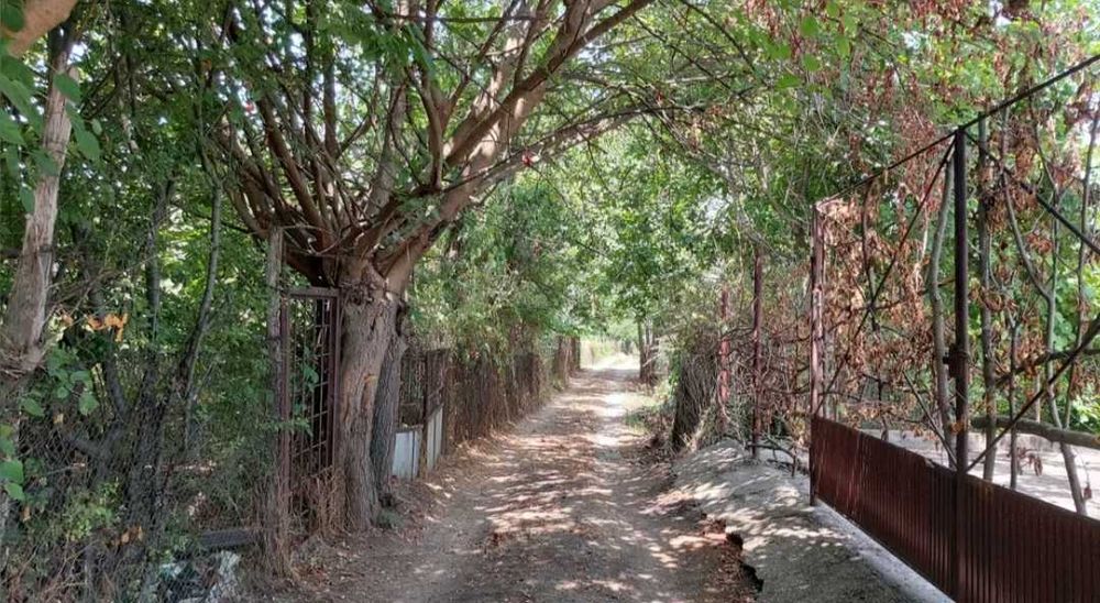 Продава се Земеделски имот в Силистра, Промишлена зона - Юг -  кв.м за 6630 €/дка - Снимка #5