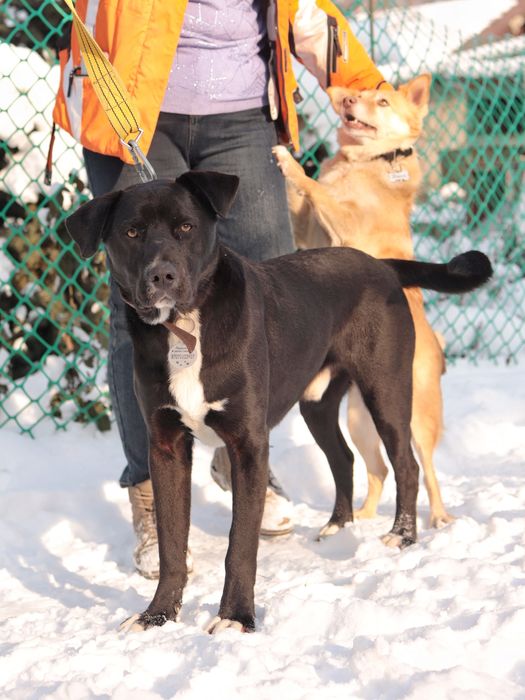 Робинзон в заботливые руки.