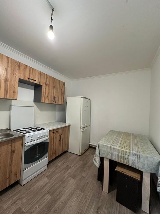 Времянка курсаида