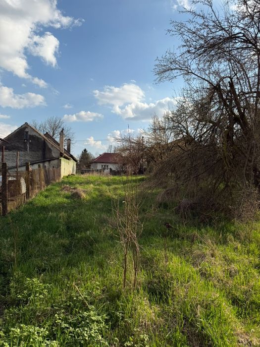 Casă de vânzare (Valea Hartibaciului)