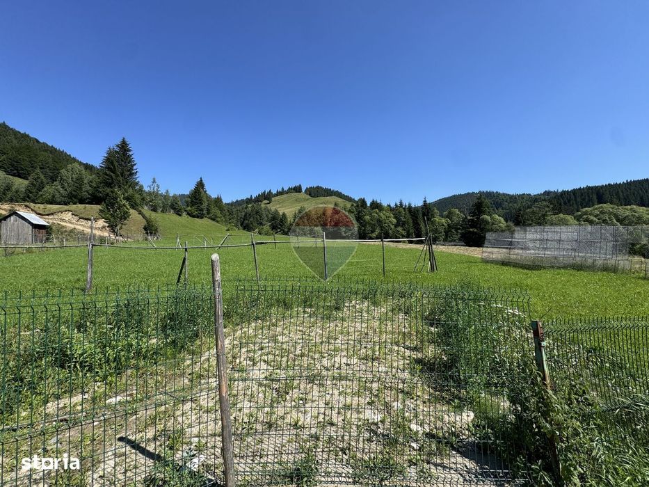 De vanzare | Teren intravilan 7620mp | Vitoria Lipan | Borca| Neamt