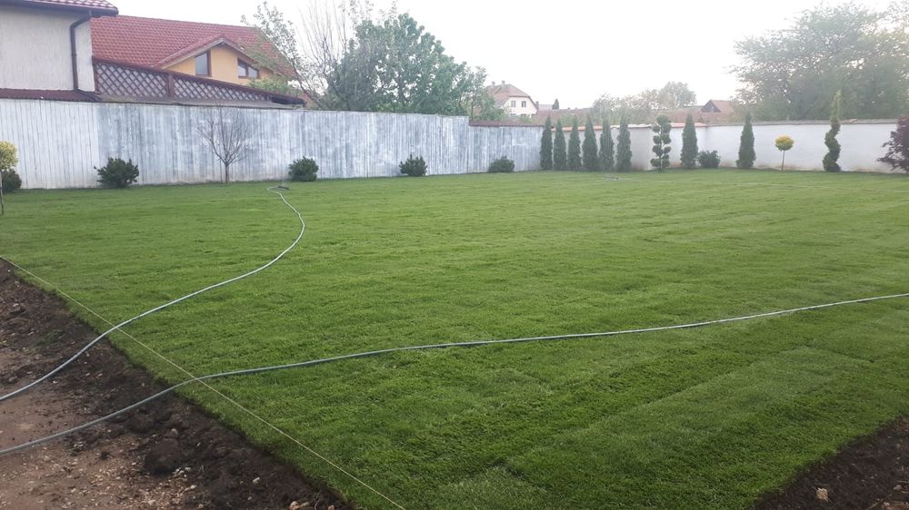 Gazon rulou si insamantare