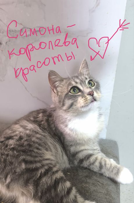 Симона - королева красоты!