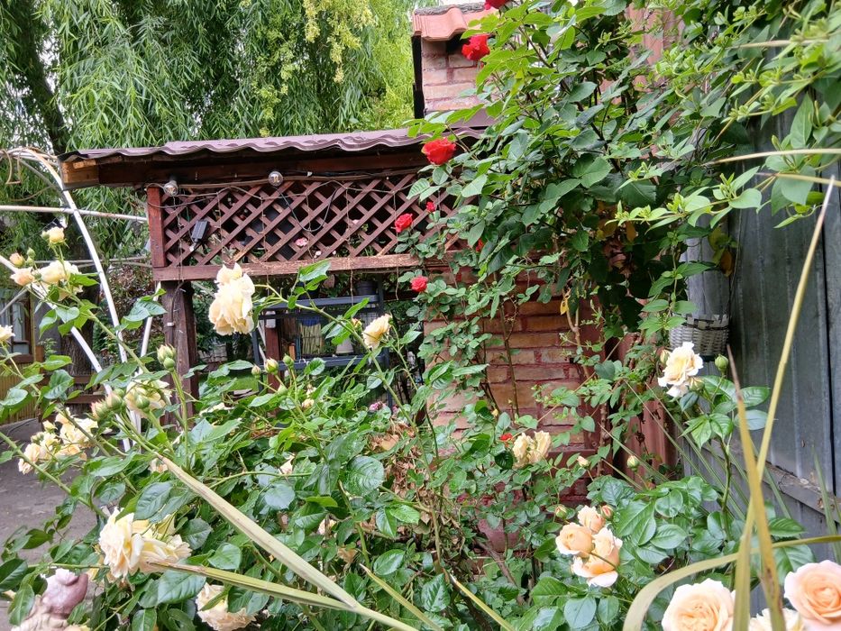 Spatiu de inchiriat pentru evenimente