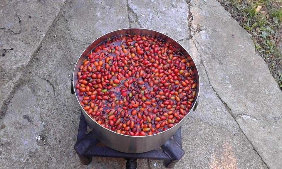 Домашен Шипков мармалад