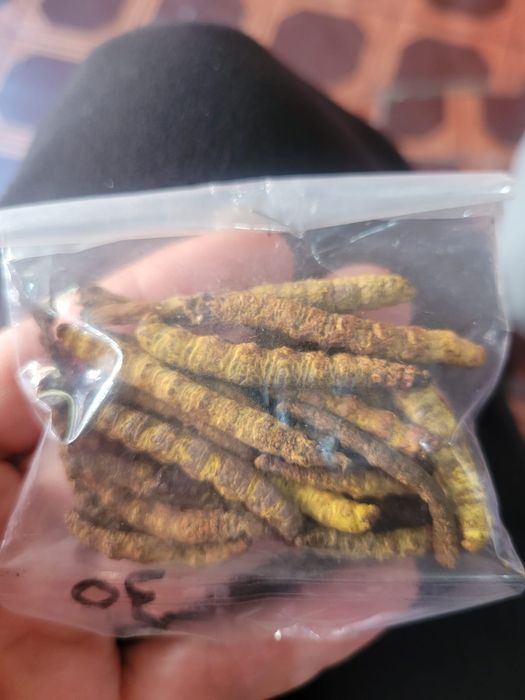 Лечебные травы с Непала