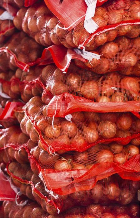 Лук ! Оптом ! Дешево!