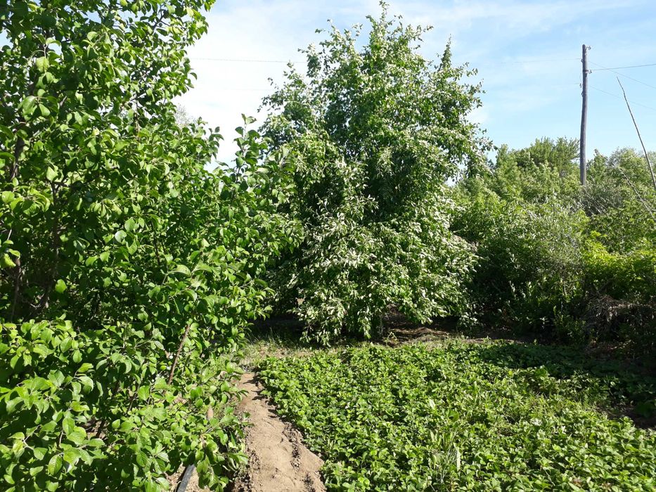 Продам дачу в черте города (район гипермаркет Анвар)