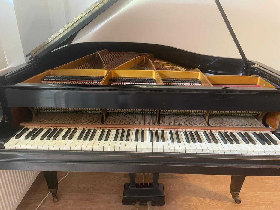Pian Pleyel cu coada scurta
