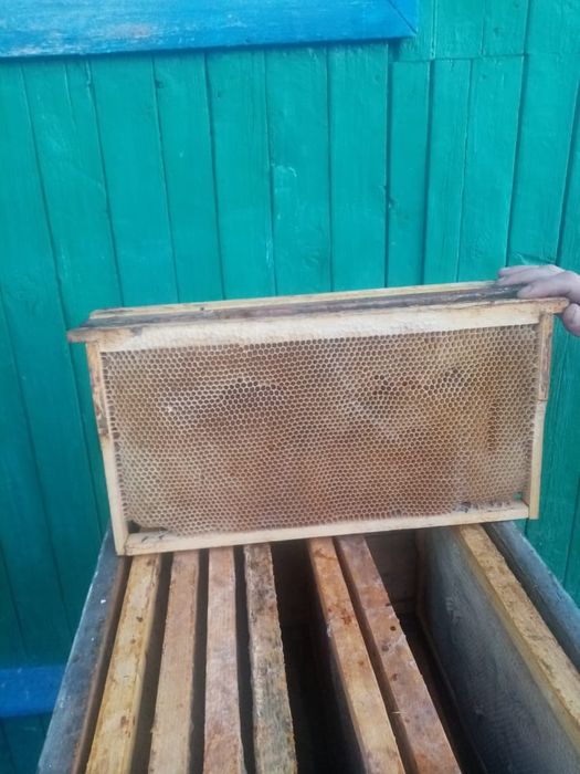 Продам улья и рамки