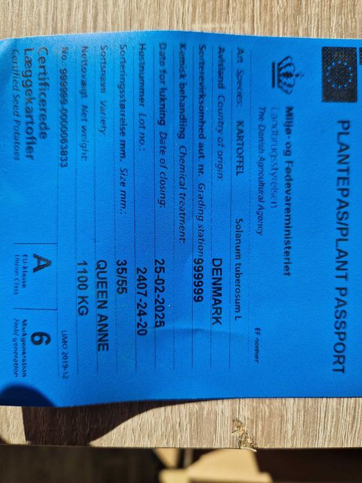 Cartofi de samanta Marabel , Red lady, Soraya