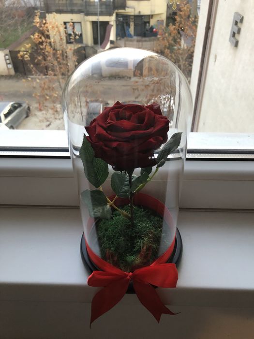 Cupola cu trandafir criogenat conservat