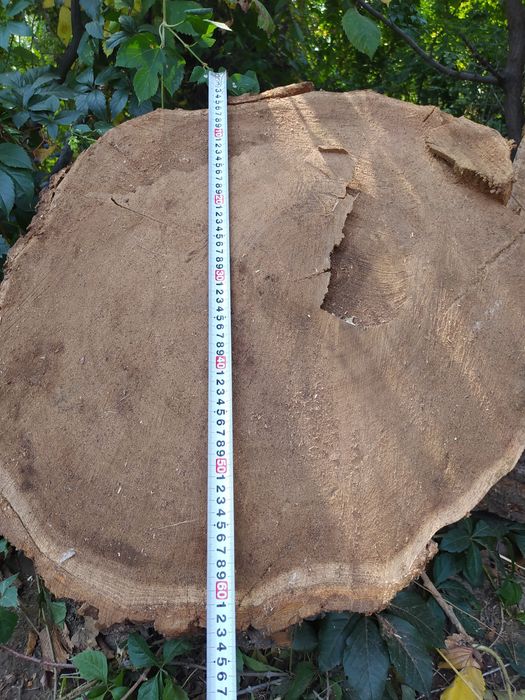 Продам пиломатериал карагача