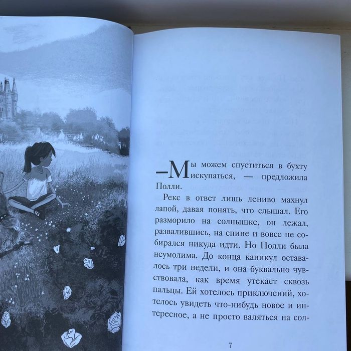 Хранитель Пенхэллоу: Утраченное сокровище | Холли Вебб