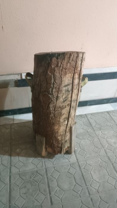 Kunda gõsht maydalash uchun uskuna