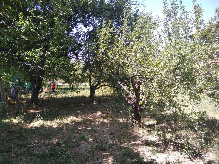 Продаётся участок-дача