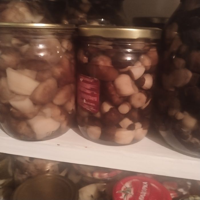 Продам грибочки этого года