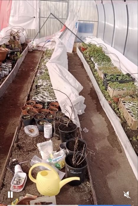 Продам теплицу 3*8