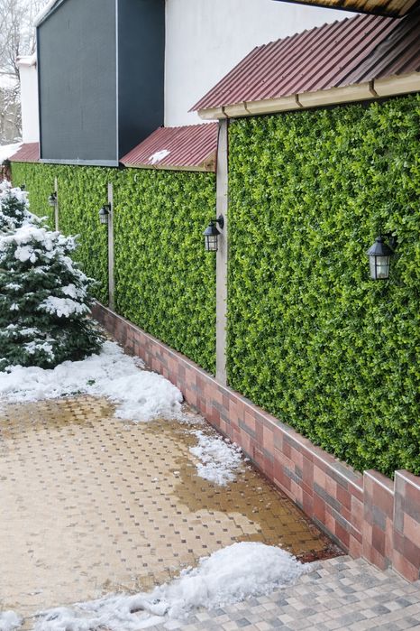 Suniy gazon chim zabor fetostina