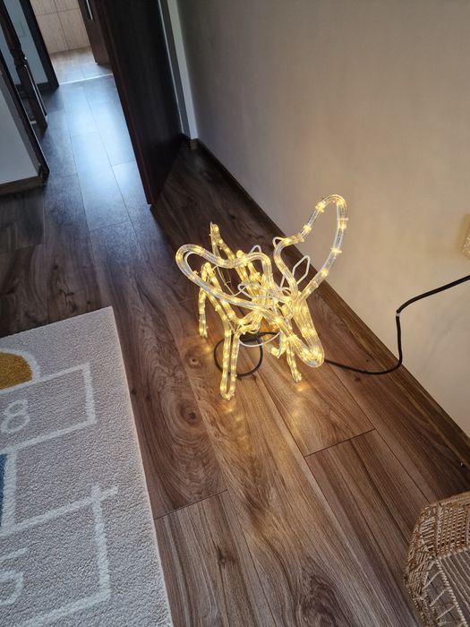 Ren din furtun luminos LED