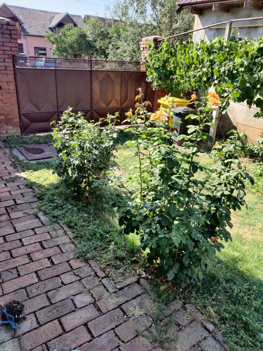 Casa de vinzare cu tot cu mobila