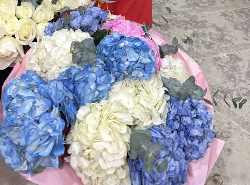 Продаю красивые цветы