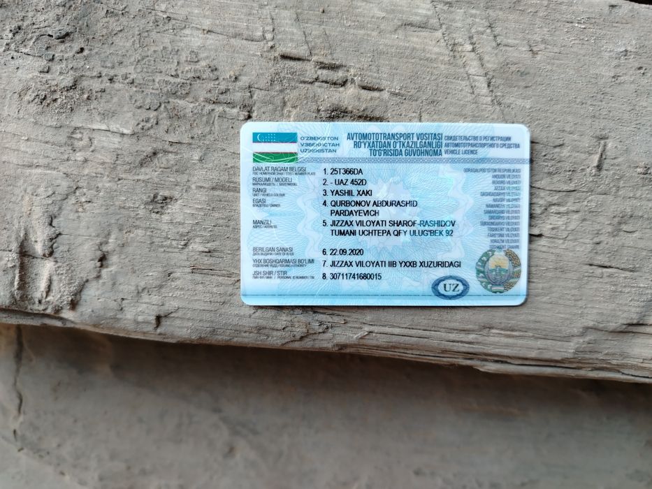 Bortovoy tentli xamma joyi sog'