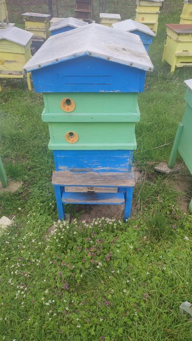 Пчелни кошери 10-рамкови - собствена изработка (без пчели)