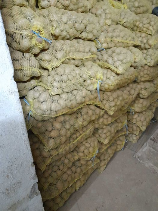 Картофи за консумация