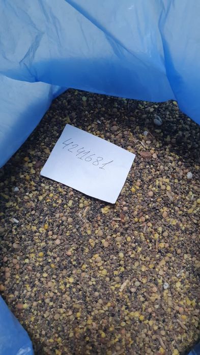 Ячмень! Платный чат! Все корма.