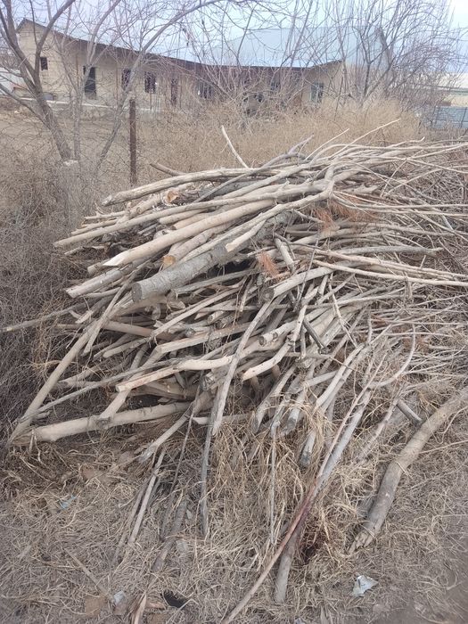 Chorno patalok sotiladi