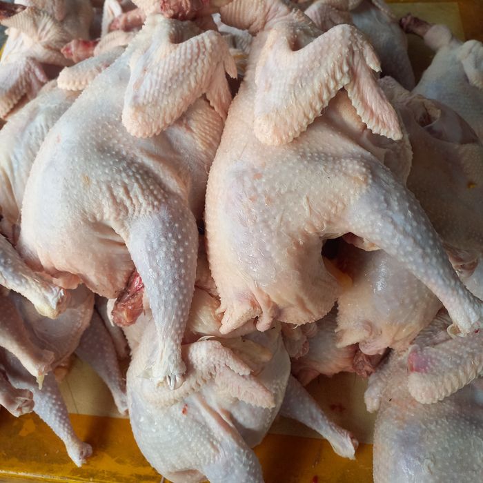 Куры домашние тушки