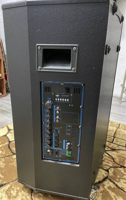 Колонка на ходу 500 ватт 2 микрофона дистанционного пульт управление