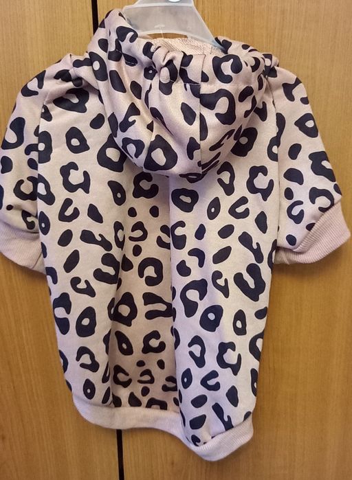 Hainute noi catel talie pechinez