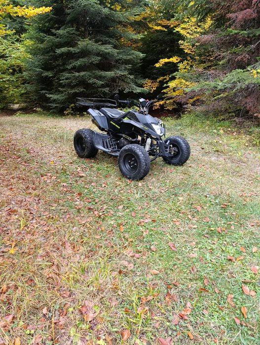 АТВ ЗонгШен 250кб