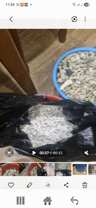 Продам битый коралл для аквариума.