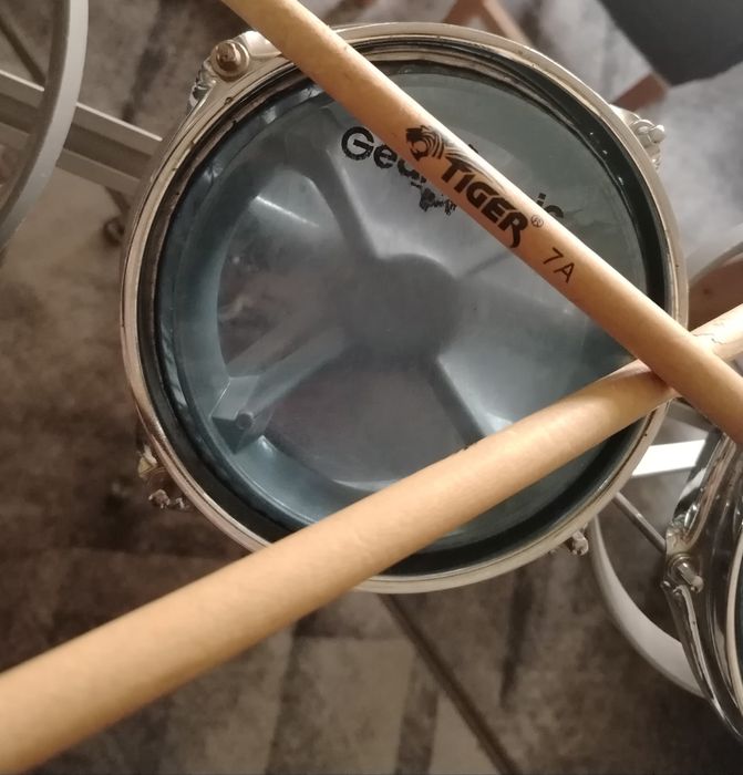 Рототоми 10 8 6 инча