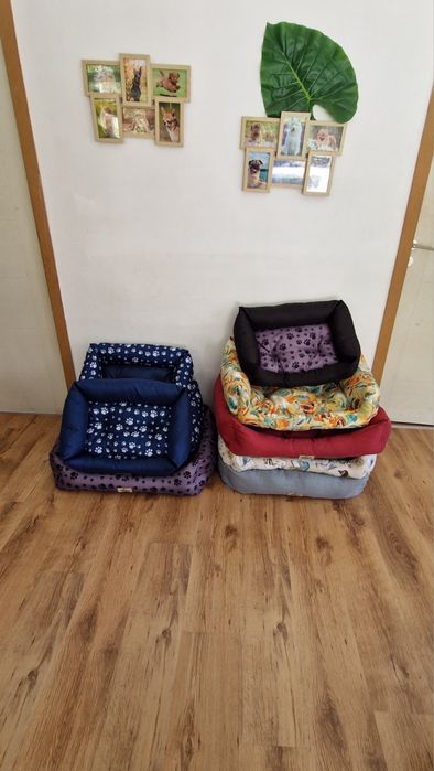 Кучешки легла