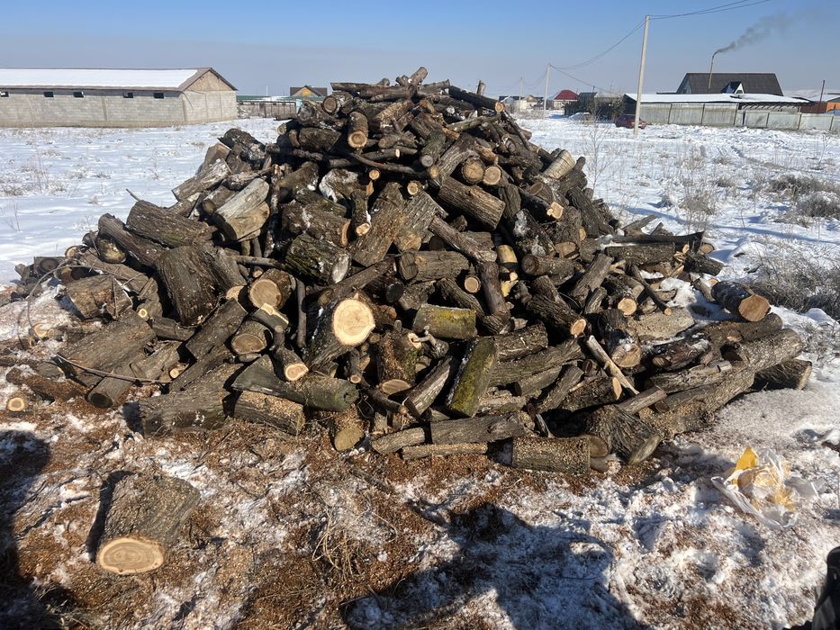 Карагач для шашлыка